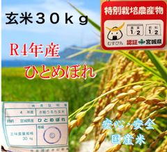 ４年　宮城県産　ひとめぼれ　環境保全米　1等米　３０ｋｇ　玄米　お米　低農薬