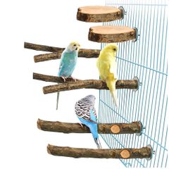 SALUDABLE 鳥 止まり木 止まり台 パーチ 自然木 インコ オウム 爪とぎ 6点セット