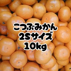 みかん２Ｓサイズ10kg