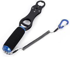 Item thumbnail for item 52ec2d0c-1305-491a-9bb0-dc4eef8358d8