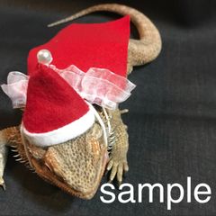 【02 コス】爬虫類 クリスマス コスチューム L〜LL