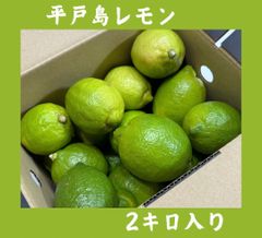 早摘み　平戸島レモン　2キロ入り　国産レモン
