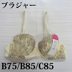 訳あり 在庫処分 02 ブラジャー ワイヤー入り ソフトカップ 単品 刺繍 B75 B85 C85
