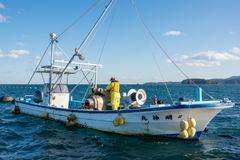今シーズン初物　三陸産金華山沖　浜茹でボイル冷凍　堅毛蟹　1kg 今シーズン初物 三陸産金華山沖（水深150〜200m） 浜茹でボイル
