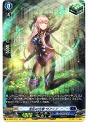SP ヴァンガード 生彩の光華 ウアニア 4枚 Amazon.co.jp: ヴァンガード フェスティバルコレクション2022