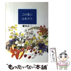 【中古】 灰色の断想 改訂新版/しののめ出版（江戸川区）/藤木正三 Amazon.co.jp: 藤木正三: 本