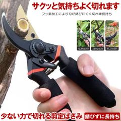 Item thumbnail for item 9670937f-4fc3-44ba-94f5-5cf0b543e624