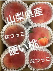 クール便発送‼️山梨県産　なつっこ　硬い桃　モモ　もも　桃