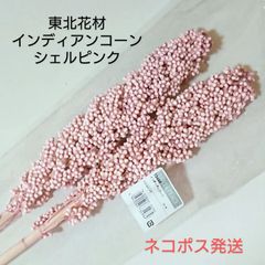 東北花材 インディアンコーン シェルピンク 新品1束(2本)