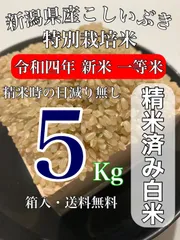 令和3年度産 希少な魚沼地域生産のこしいぶき（殺虫剤不使用）玄米20kg