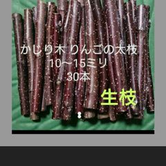 Item thumbnail for item 4a34add6-9b56-462d-a343-1c4ae1ee0f50