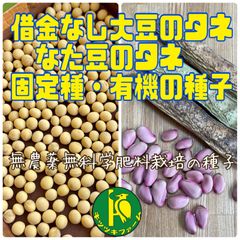 借金なし大豆のタネ15粒となた豆のタネ5粒　無農薬・無化学肥料栽培の種子