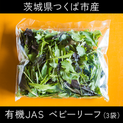 味が濃い！有機JAS認証 ベビーリーフ（3袋）