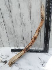 流木　ハンドメイド　テラリウム　アクアリウム　ビカクシダ　着生材