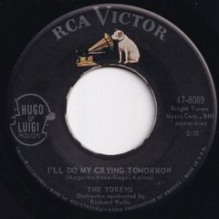 Tokens I'll Do My Crying Tomorrow / Dream Angel Goodnight RCA Victor US 47-8089 211858 ROCK POP ロック ポップ レコード 7インチ 45