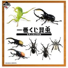 2025年最新】一番くじ昆虫の人気アイテム - メルカリ 2025年最新】一番くじ昆虫の人気アイテム - メルカリ