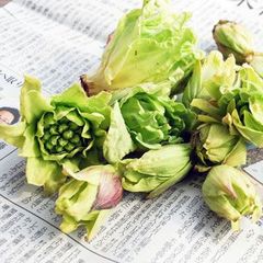 予約　天然山菜・ふきのとう１ｋｇ（大小バラ詰め）※つぼみではありません。