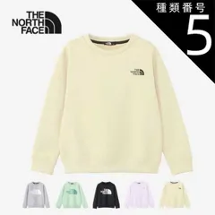 種類5：(GL)グラベル/140 ザ・ノース・フェイス キッズ トレーナー THE NORTH FACE NTJ12471 カラライズスウェットクルー クルーネック ストレッチ  ノースフェイス (240125) 子供 