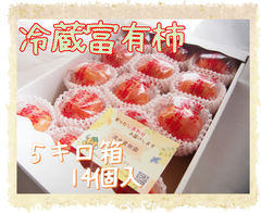 【冷蔵富有柿】５キロ箱　14個入　福岡県産