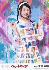 2025年最新】菅原茉椰 サインの人気アイテム - メルカリ