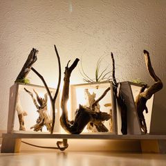 昼顔　流木アート　インテリア　LED間接照明