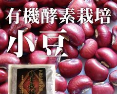 令和4年度産 有機酵素栽培 小豆（大納言） 300g 北海道産
