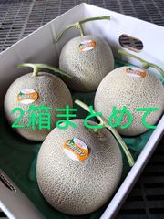 超超超特大!! 太陽の王様 2玉 キングルビー 北海道富良野 - メルカリ