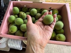 山形県東根市産　朝晩の寒暖差による自然農法による美味しい梅1キロ箱詰め　コンパクトボックス