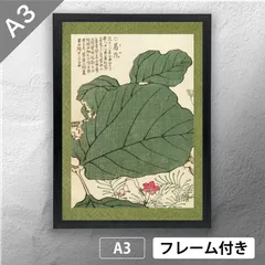 模写/寺崎広業/寺崎廣業/観音図/布袋屋掛軸HE-751 Yahoo!オークション -「寺崎広業」(掛軸) (書)の落札相場・落札価格