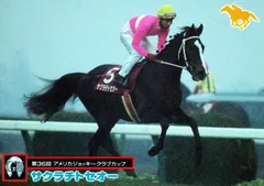 アバンティ 超レア ２Lサイズぬいぐるみ サクラチトセオー 天皇賞 アバンティ 超レア 2Lサイズぬいぐるみ サクラチトセオー 天皇