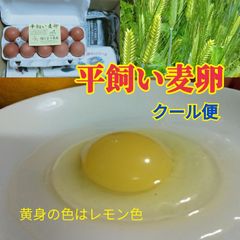 平飼い麦卵 shop 30個 クール便