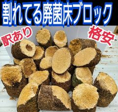 割れてるから安い！オオヒラタケ菌床【15ブロック分】カブトムシ幼虫の栄養強化に！ カブトムシ幼虫の栄養強化に抜群！椎茸菌床ブロック【10個セット