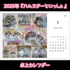【予約販売】ハムスターといっしょ 2025年 卓上カレンダー ポストカードプレゼント付き