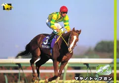マヤノトップガン：第41回有馬記念出走馬「サラブレッドカード 96年下半期版」No.098