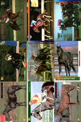 ux236 カード まとめ 競馬 サラブレッドカード 馬 メイセイオペラ ウィンテクロー タイキシャーロック ロバリーハート ニホンピロウイナー ナルシスノワール ヒカリデュール スプラッシュオブカラー