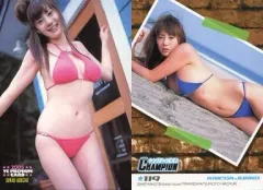 【中古】コレクションカード(女性) 119 ： 海江田純子/2005 YC PREMIUM CARD 2005年20号 特典