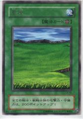 遊戯王 草原 レア LB-48