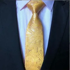 格安　メンズネクタイ　ペイズリー柄　ゴールド色　金色　イエロー色　シルバー色　結婚式　発表会　ビジネス　パーティー　イベント　卒業式　入学式　入社式　父の日　七五三祝い　ネクタイ　ワイシャツ　スーツ　小物