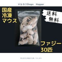送料無料 冷凍マウスリタイア30匹 楽天市場】「リタイア 300匹(30袋) Biokimia 」 約10cm 40g+ 冷凍