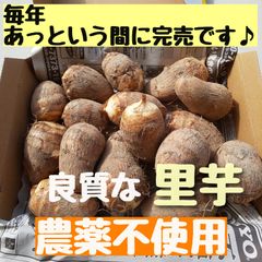 自然栽培【良質で美味しい】農薬不使用  化学肥料不使用  除草剤不使用 里芋 小芋 土垂
