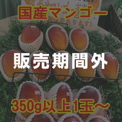 国産アップルマンゴー350g以上1玉～【箱無し】