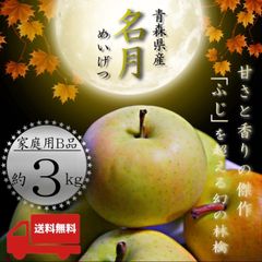青森県産  ぐんま名月 ( 名月 )  りんご【ご家庭用B品3kg】【送料無料】【産地直送】リンゴ   林檎
