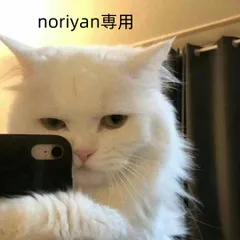 noriyan専用