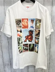 12SS Supreme origin tee Tシャツ 世界の起源 アート 12SS Supreme origin tee Tシャツ 世界の起源 アート - メルカリ