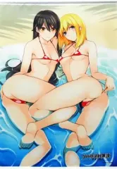 【中古】タペストリー 和泉天国&石神虎鉄 描き下ろしB2サイズタペストリー 「PS Vitaソフト クロガネ回姫譚-閃夜一夜-」 ソフマップ特典