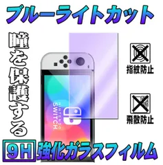 【新品】Nintendo Switch OLED ブルーライトカットフィルム