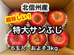 【数量限定！珍しい！】長野県産　サンふじ　特大サイズ　6玉入り　およそ3kgのサムネイル