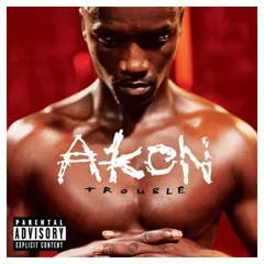 Trouble [Audio CD] Akon