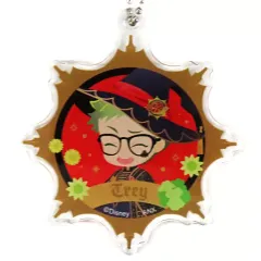 【中古】キーホルダー トレイ・クローバー 「ディズニー ツイステッドワンダーランド プレミアムバースデー2023 POP UP SHOP in アニメイト デフォルメアクリルチャームコレクション(ブルームバースデー ver.)」