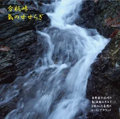 信州分杭峠裏氣場強力波動石 【あんちゃん】【空間浄化】【本物保証】 信州分杭峠裏氣場強力波動石 【あんちゃん】【空間浄化】【本物